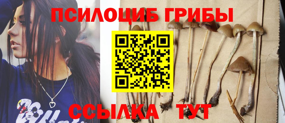 Галлюциногенные грибы Psilocybine cubensis Красноуфимск